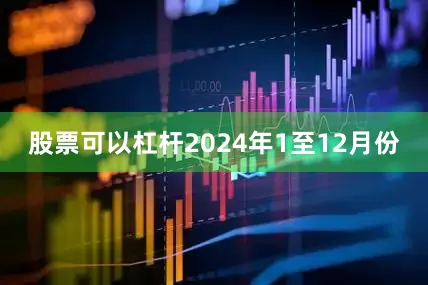 股票可以杠杆　　2024年1至12月份