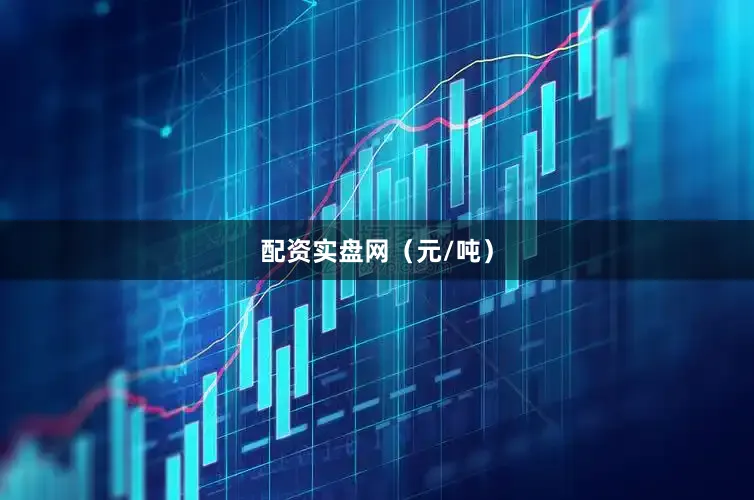 配资实盘网（元/吨）
