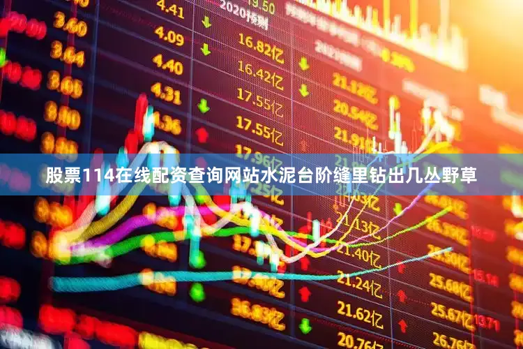 股票114在线配资查询网站水泥台阶缝里钻出几丛野草